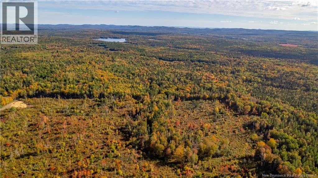 Lot Clatter Road, Rollingdam, New Brunswick  E5A 2Y9 - Photo 25 - NB127781