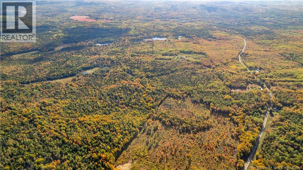 Lot Clatter Road, Rollingdam, New Brunswick  E5A 2Y9 - Photo 38 - NB127781