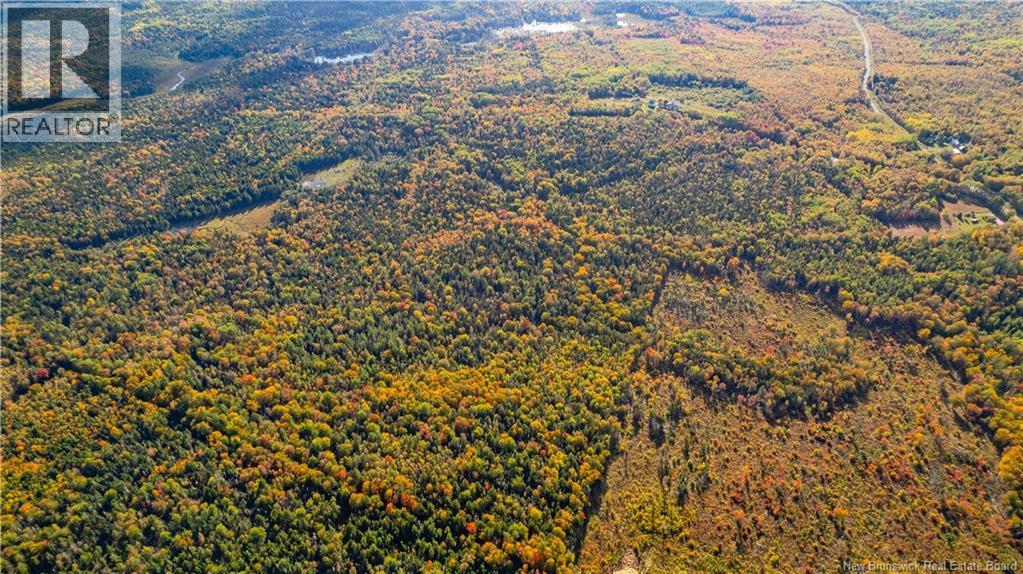 Lot Clatter Road, Rollingdam, New Brunswick  E5A 2Y9 - Photo 37 - NB127781