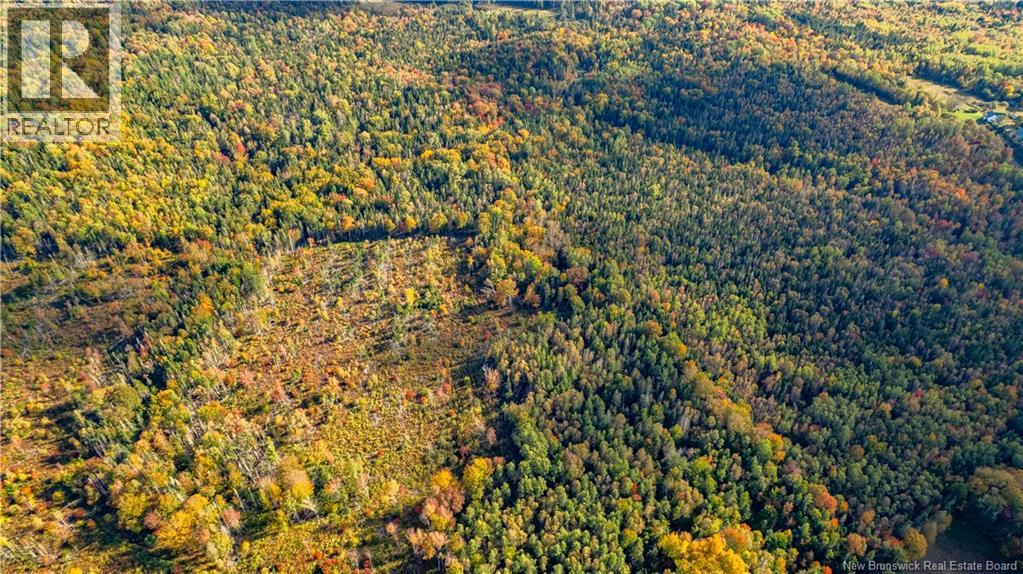 Lot Clatter Road, Rollingdam, New Brunswick  E5A 2Y9 - Photo 29 - NB127781