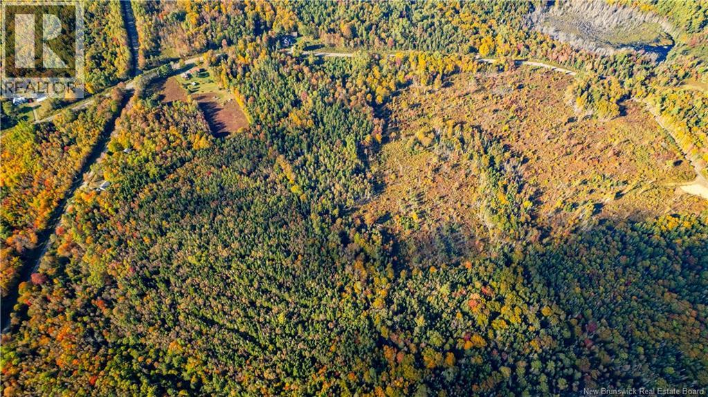 Lot Clatter Road, Rollingdam, New Brunswick  E5A 2Y9 - Photo 31 - NB127781