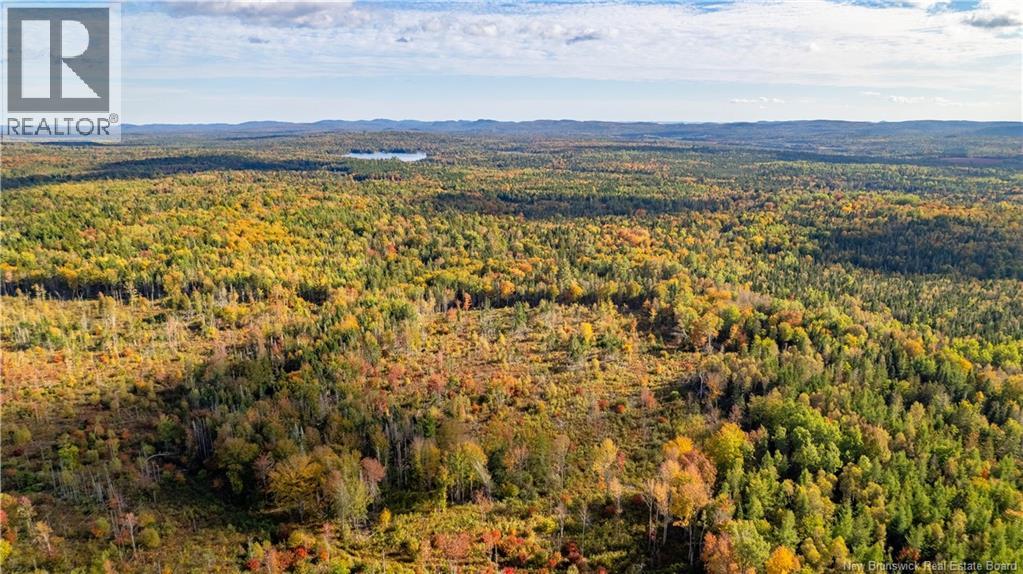 Lot Clatter Road, Rollingdam, New Brunswick  E5A 2Y9 - Photo 28 - NB127781