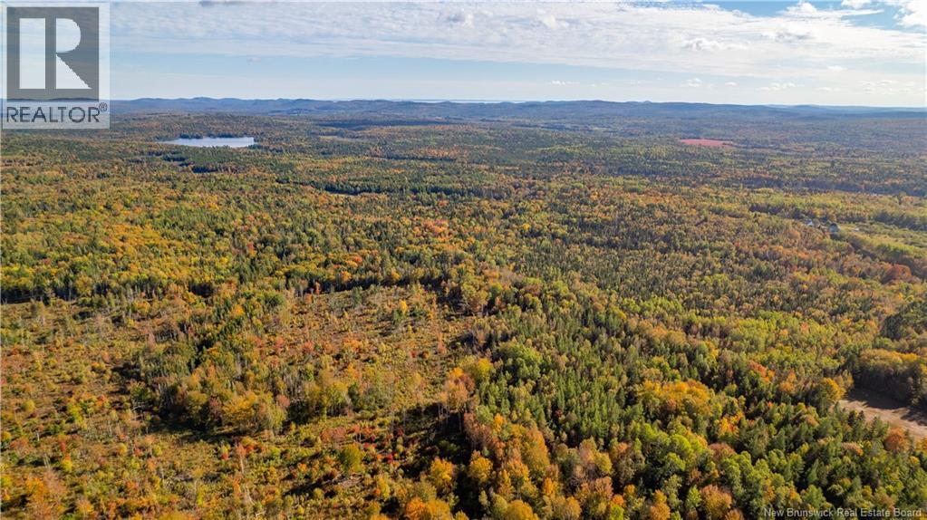 Lot Clatter Road, Rollingdam, New Brunswick  E5A 2Y9 - Photo 23 - NB127781
