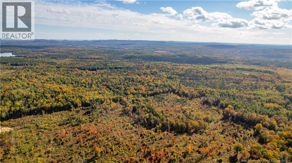 Lot Clatter Road, Rollingdam, New Brunswick  E5A 2Y9 - Photo 26 - NB127781