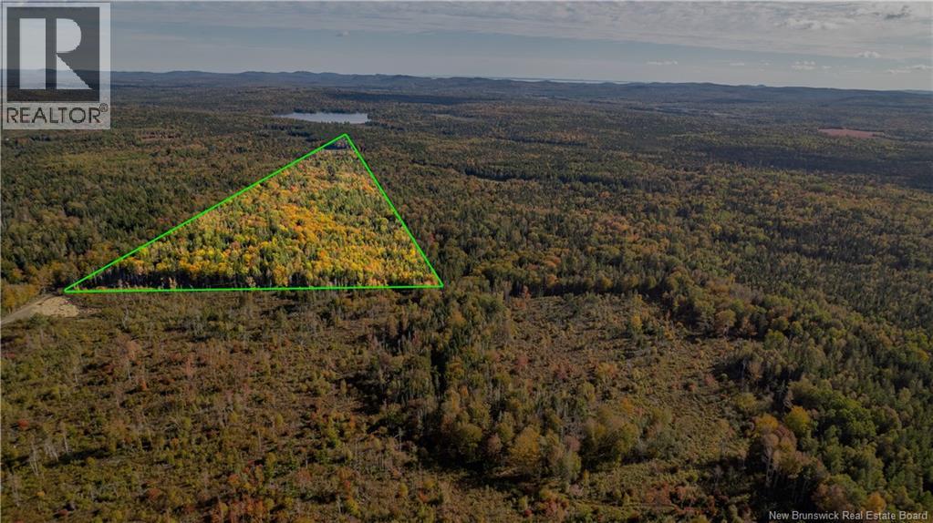 Lot Clatter Road, Rollingdam, New Brunswick  E5A 2Y9 - Photo 5 - NB127781