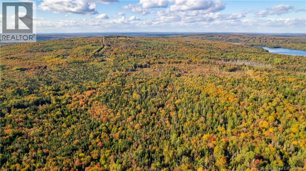 Lot Clatter Road, Rollingdam, New Brunswick  E5A 2Y9 - Photo 19 - NB127781