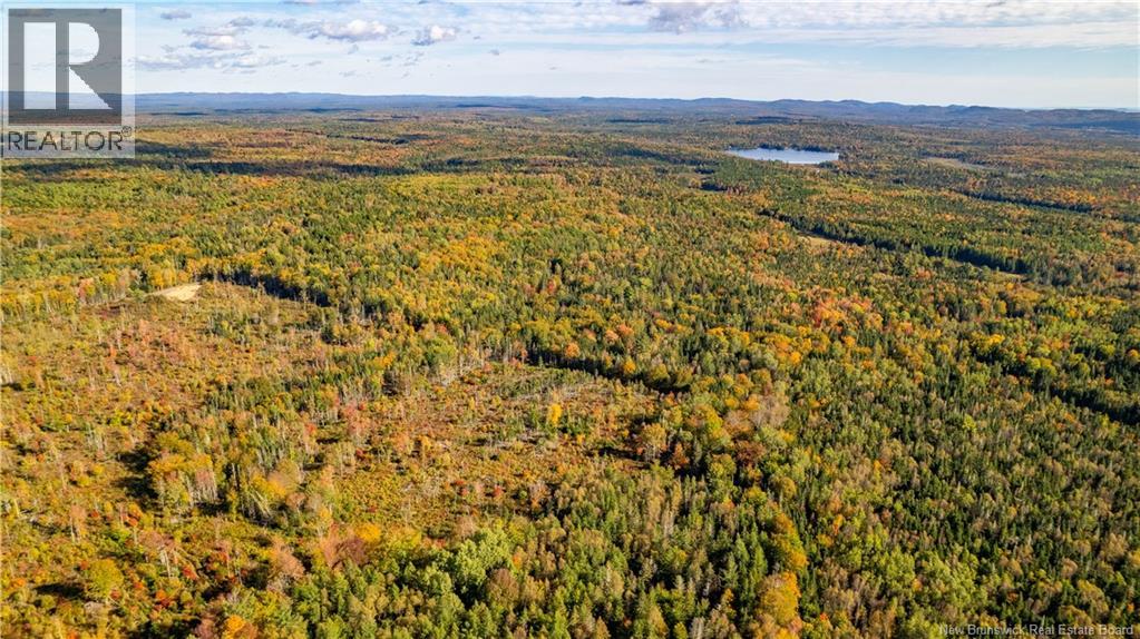 Lot Clatter Road, Rollingdam, New Brunswick  E5A 2Y9 - Photo 14 - NB127781