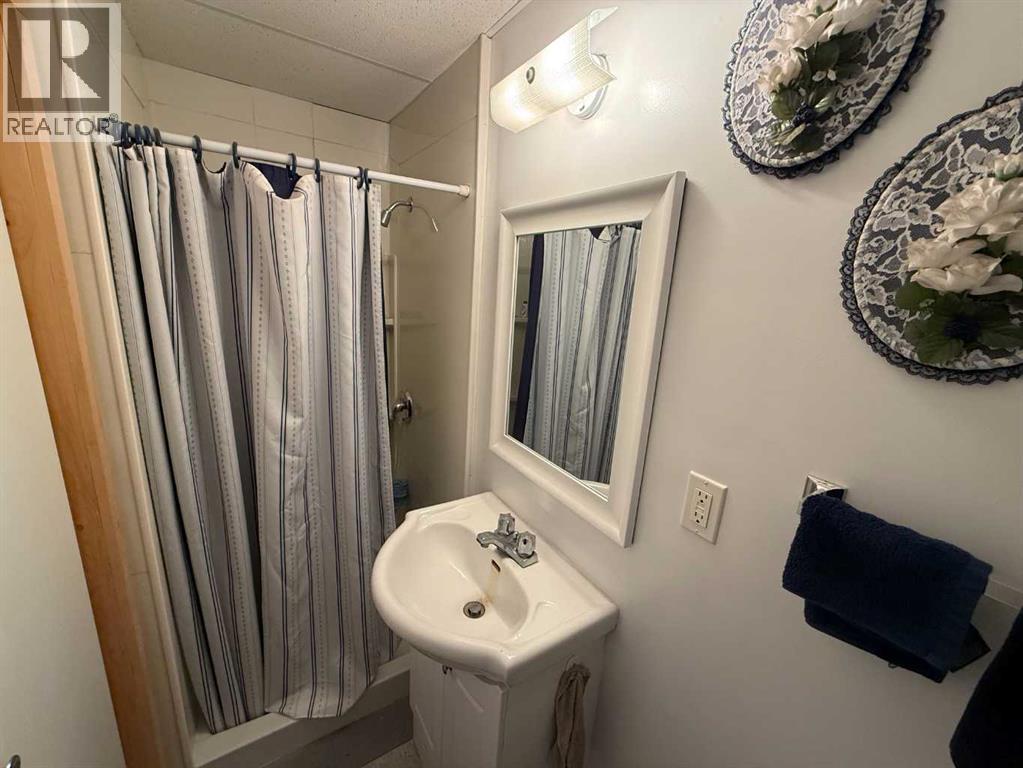 152 Sherwood Drive, Hinton, Alberta  T7V 1P6 - Photo 22 - A2286142