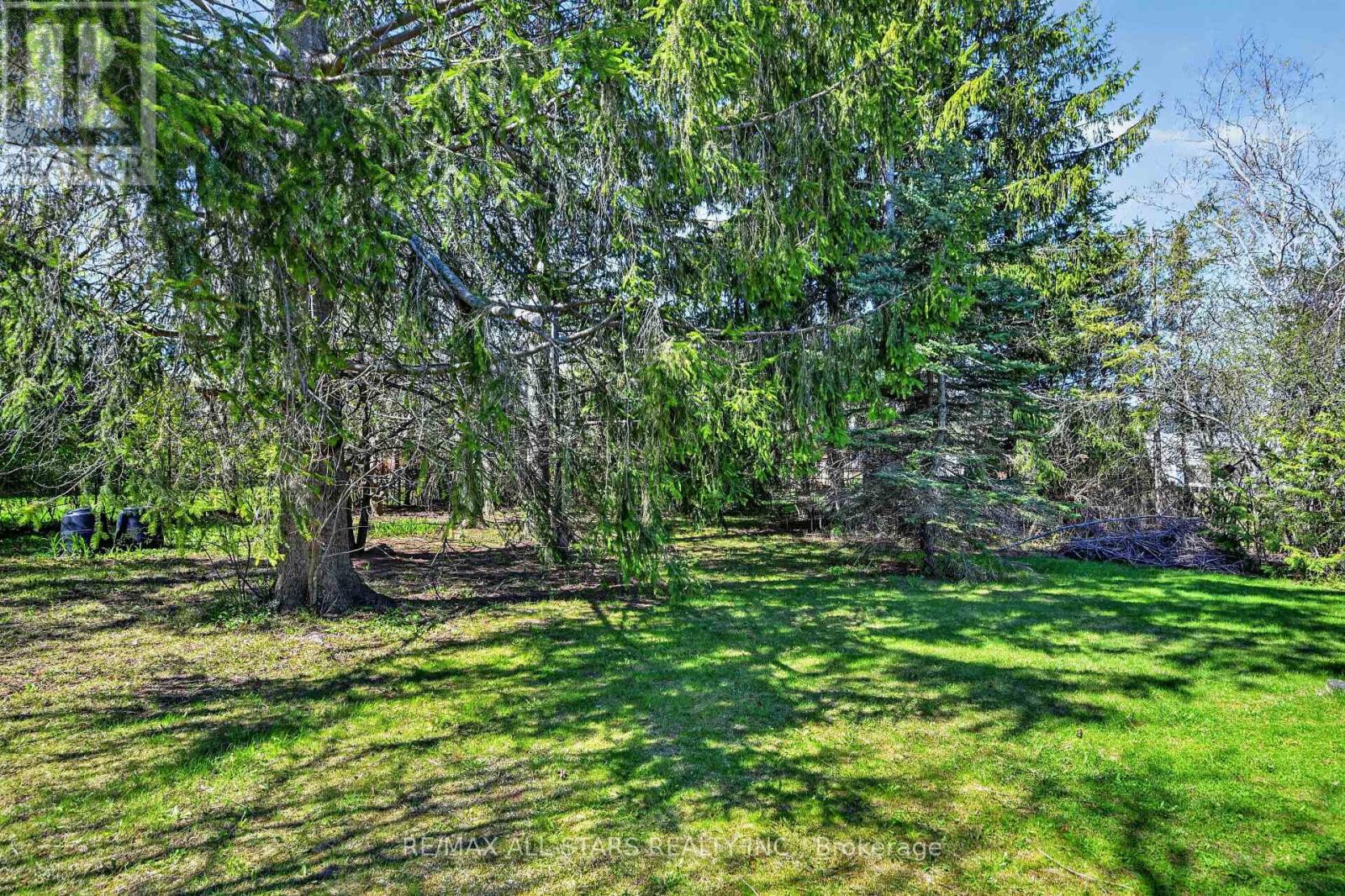 9 Orchard Park Road, Kawartha Lakes, Ontario  K9V 4V3 - Photo 45 - X13122888