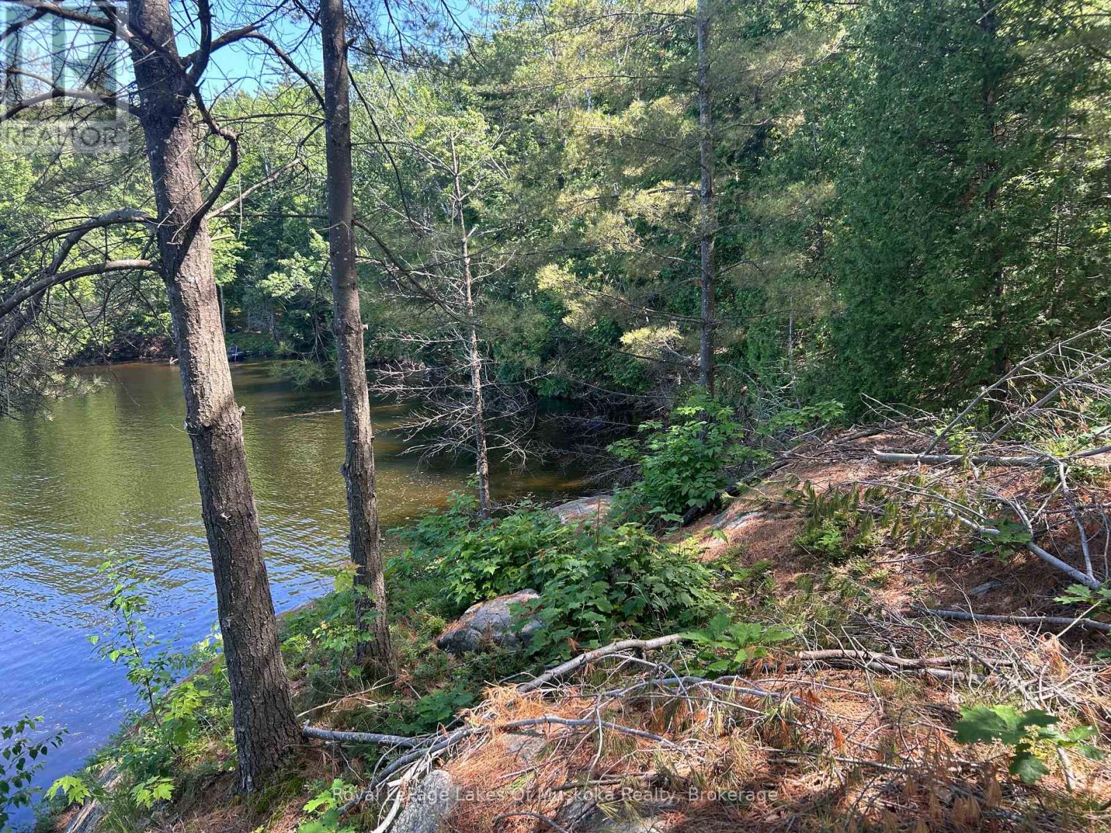 Lot 1 Bala Park Island, Muskoka Lakes, Ontario  P0B 1J0 - Photo 10 - X13123154