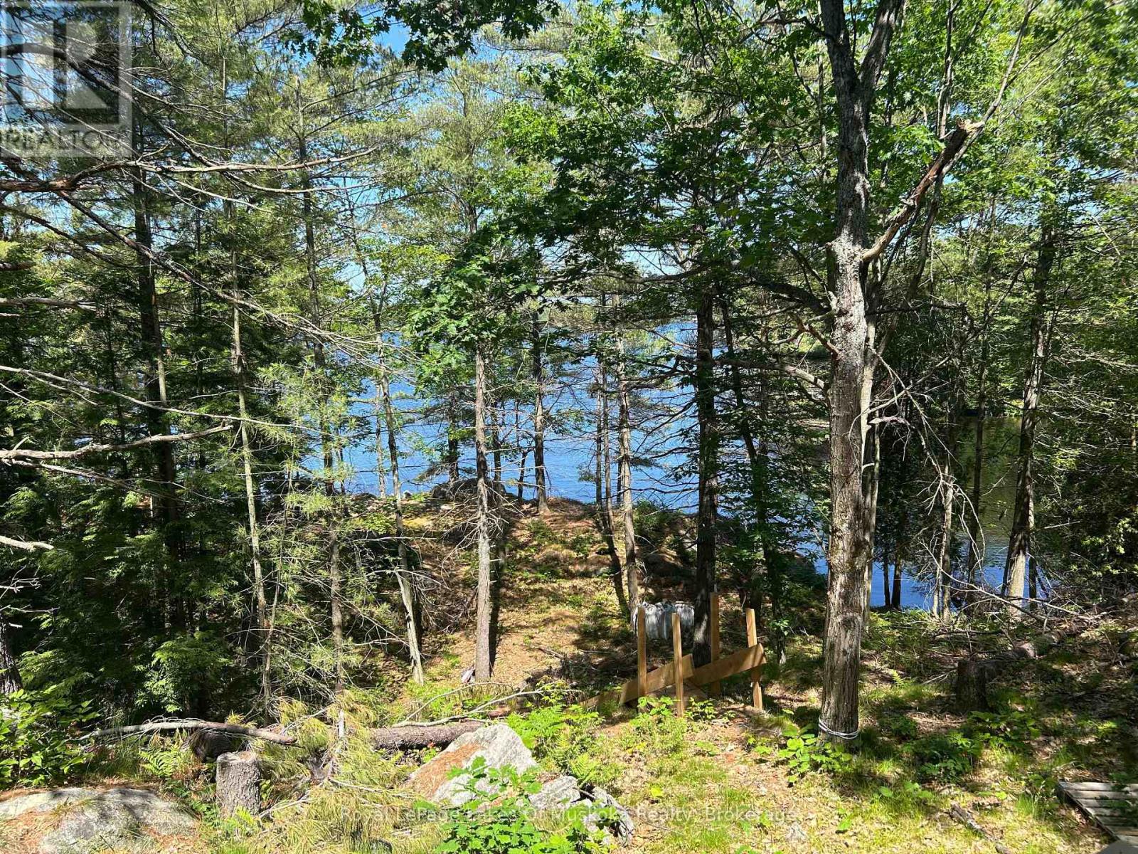 Lot 1 Bala Park Island, Muskoka Lakes, Ontario  P0B 1J0 - Photo 12 - X13123154