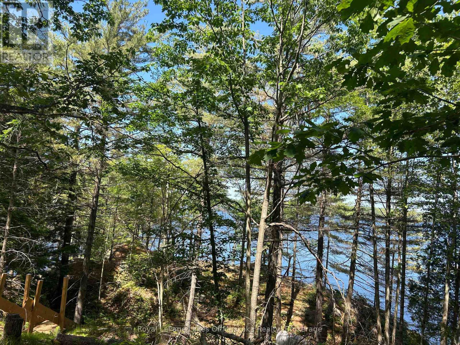 Lot 1 Bala Park Island, Muskoka Lakes, Ontario  P0B 1J0 - Photo 13 - X13123154