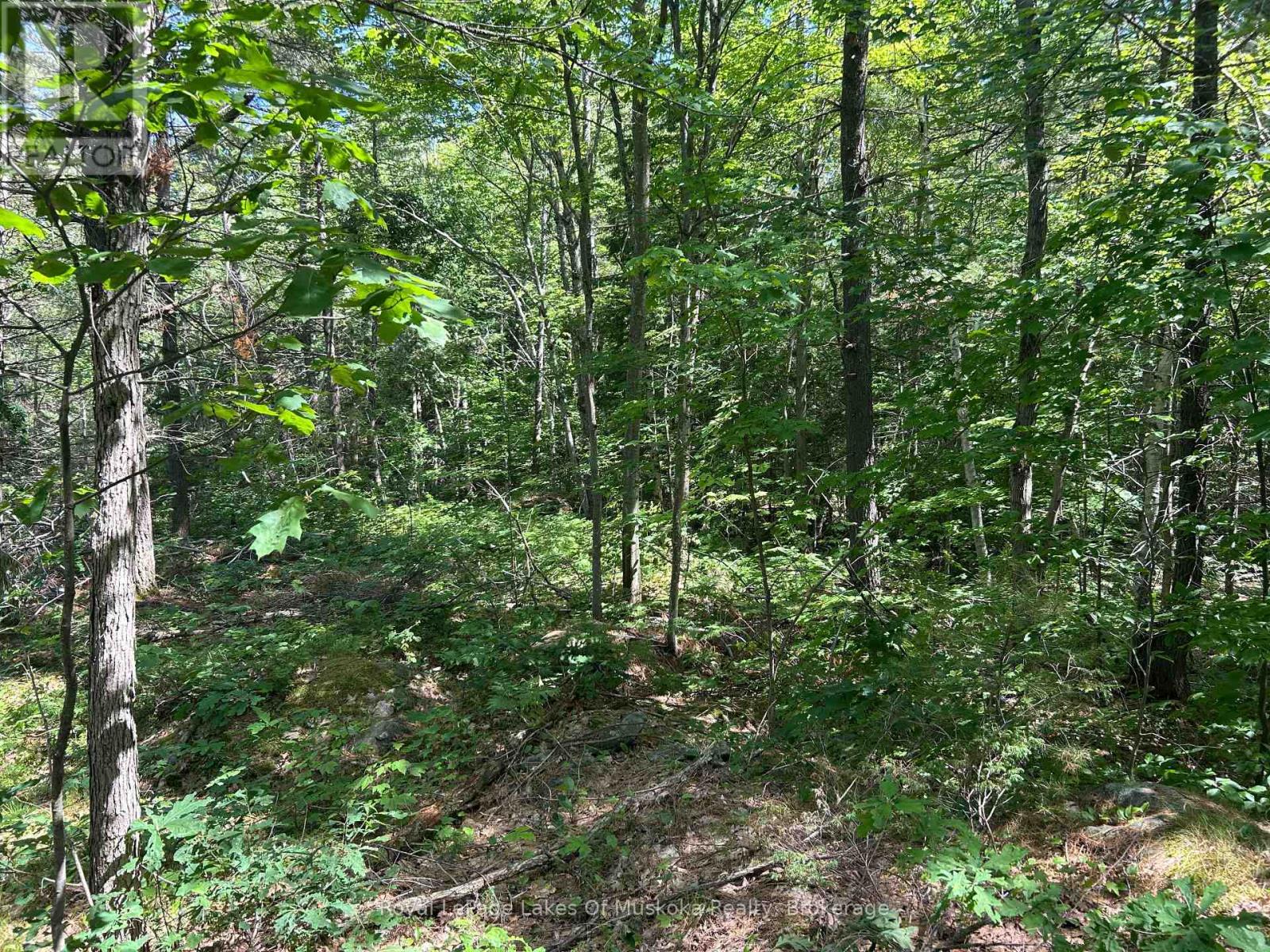 Lot 1 Bala Park Island, Muskoka Lakes, Ontario  P0B 1J0 - Photo 15 - X13123154