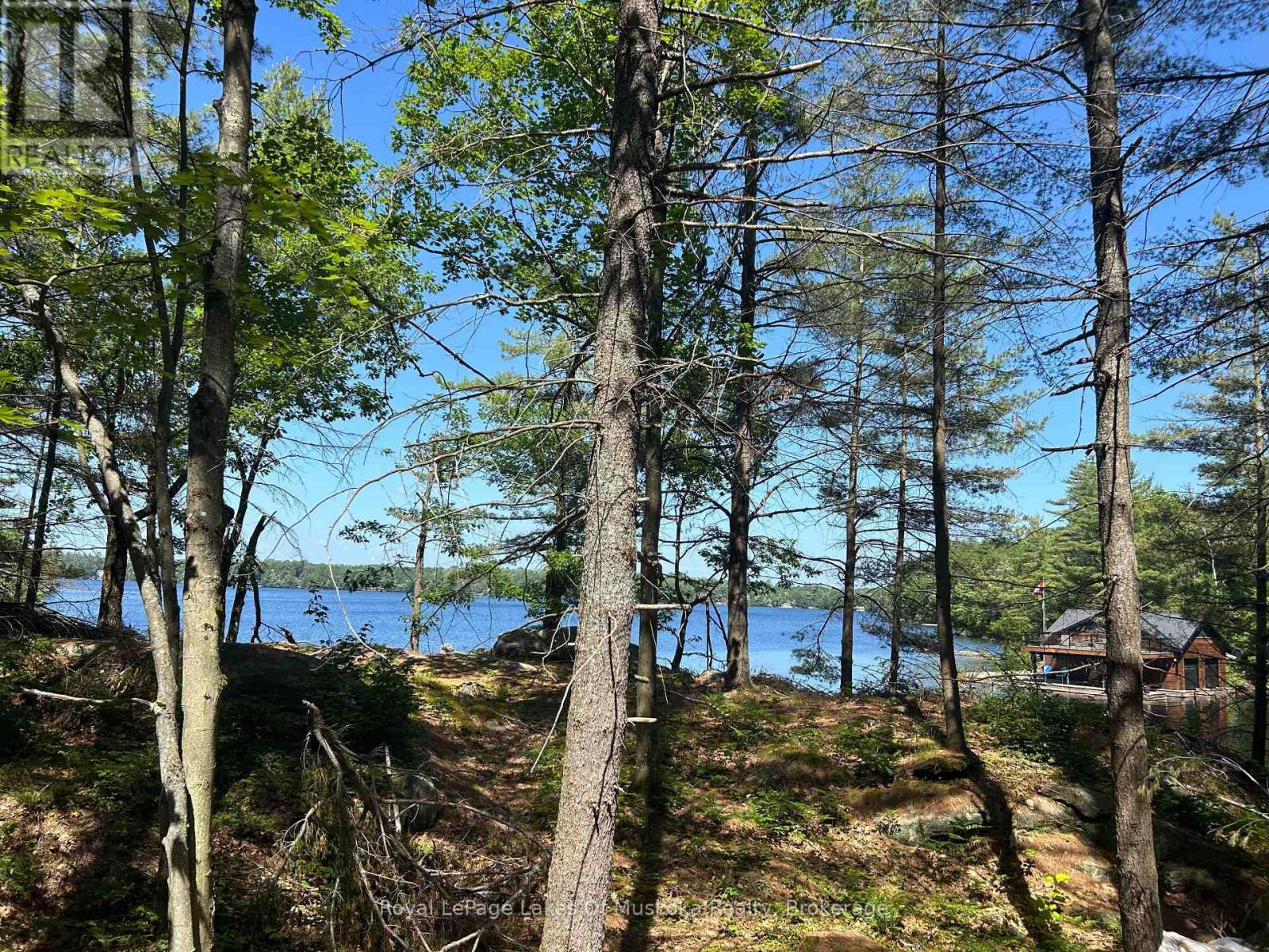 Lot 1 Bala Park Island, Muskoka Lakes, Ontario  P0B 1J0 - Photo 3 - X13123154
