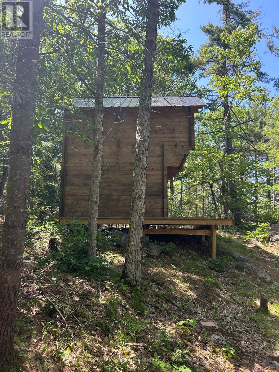 Lot 1 Bala Park Island, Muskoka Lakes, Ontario  P0B 1J0 - Photo 6 - X13123154