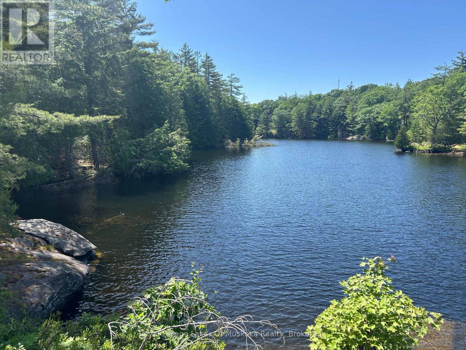 Lot 1 Bala Park Island, Muskoka Lakes, Ontario  P0B 1J0 - Photo 7 - X13123154