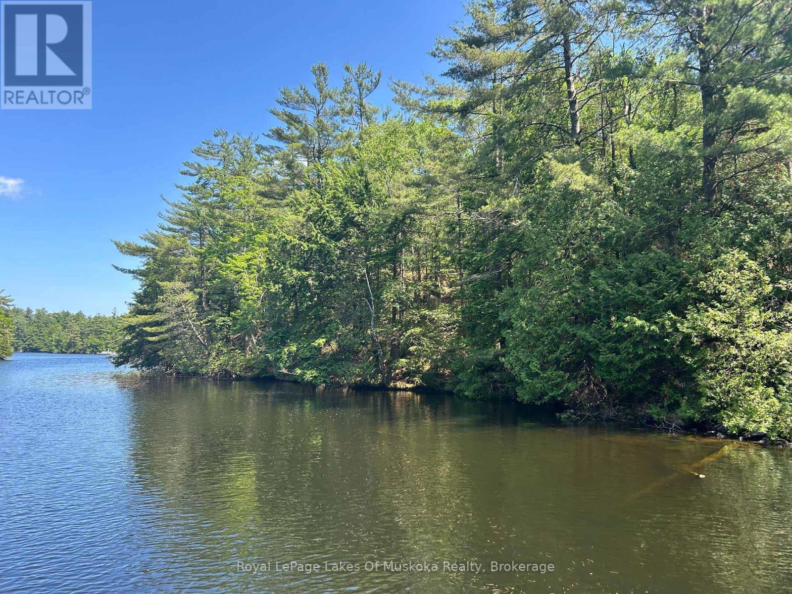 Lot 1 Bala Park Island, Muskoka Lakes, Ontario  P0B 1J0 - Photo 9 - X13123154