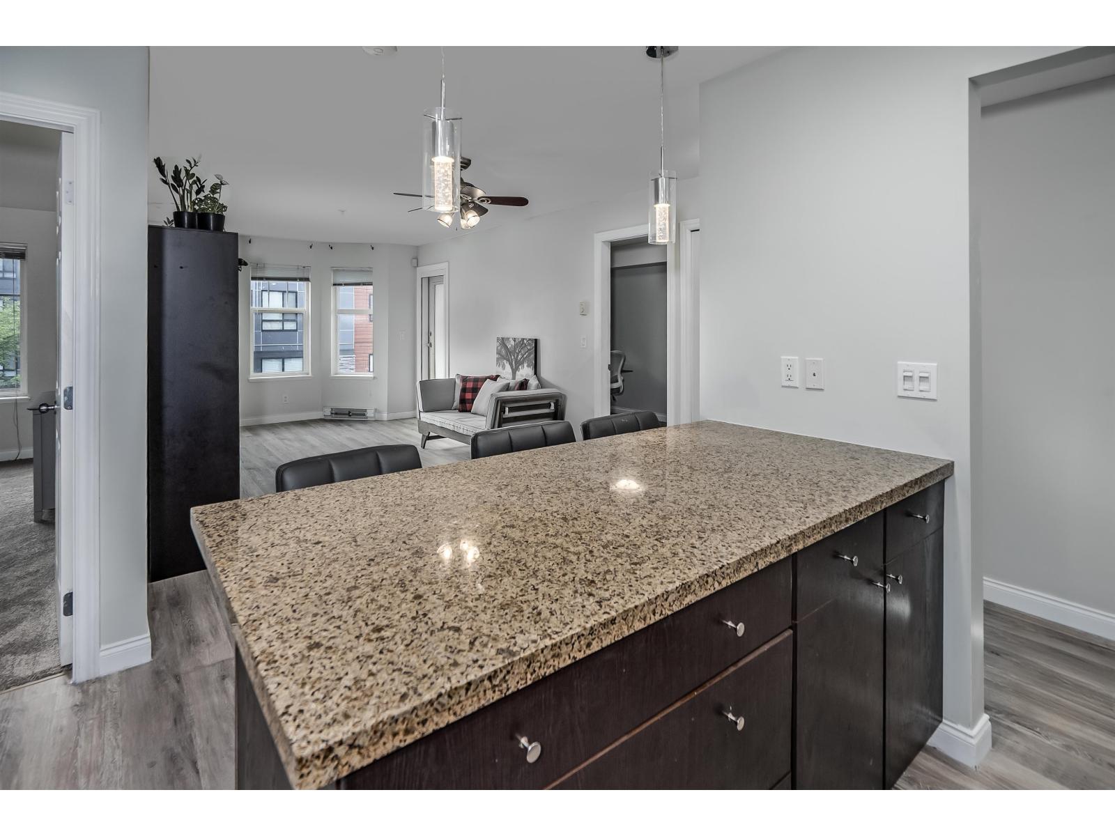 213 5438 198 Street, Langley, British Columbia  V3A 1G2 - Photo 10 - R3121428
