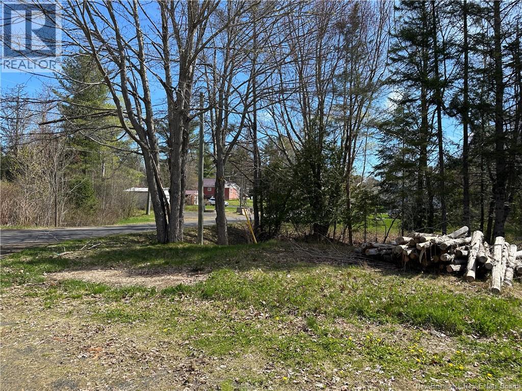 39 Diamond Drive, Minto, New Brunswick  E4B 2Y6 - Photo 22 - NB136901