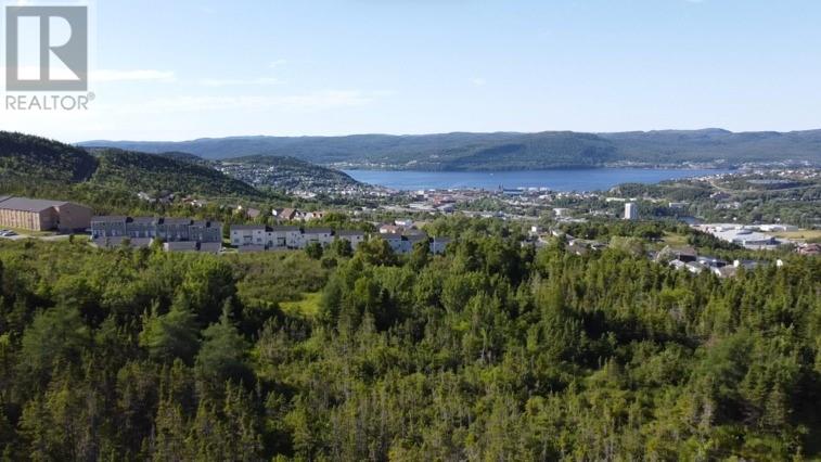 120 Elizabeth Street Unit#parcel 045, Corner Brook, Newfoundland & Labrador  A2H 6A1 - Photo 1 - 1165834