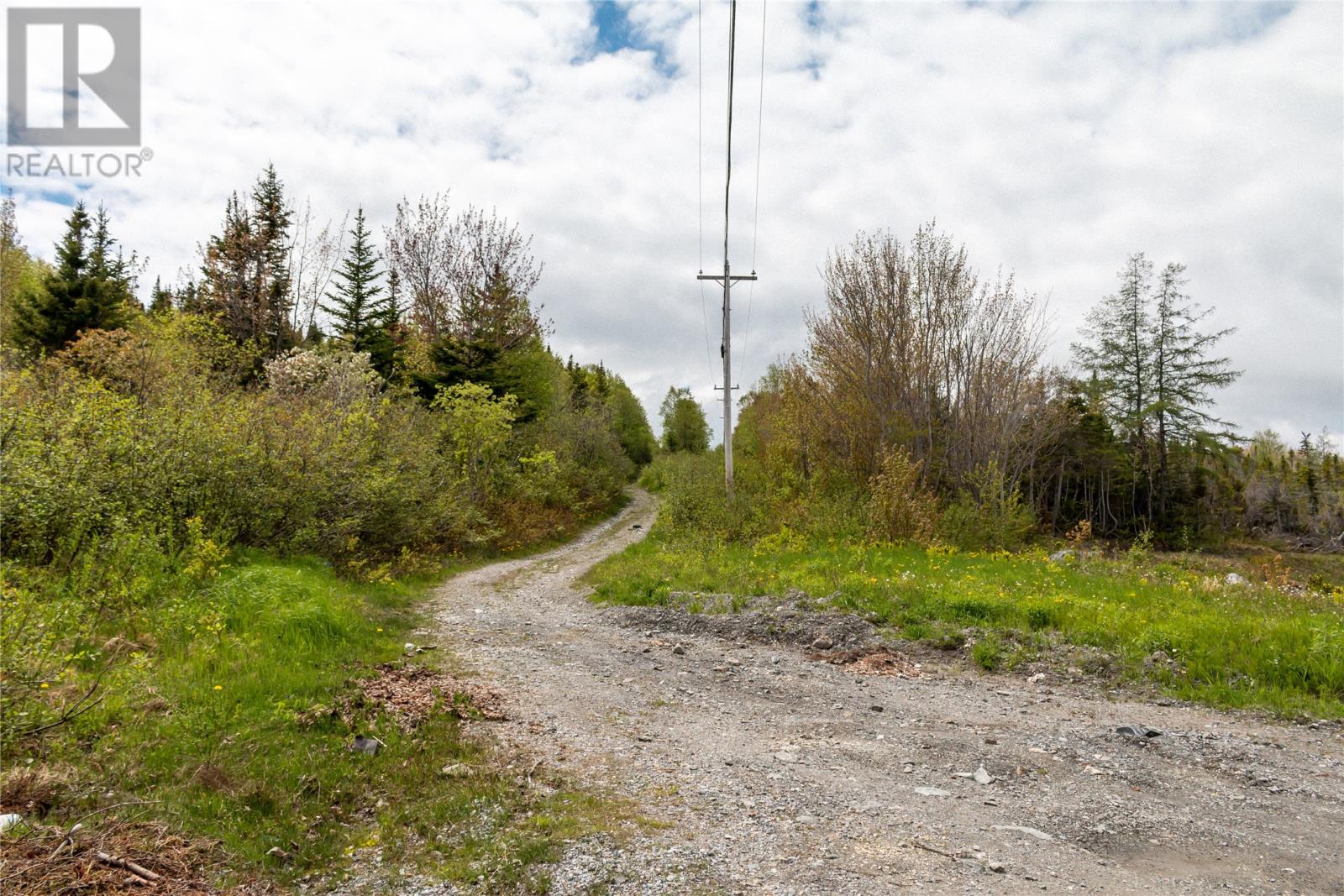 120 Elizabeth Street Unit#parcel 045, Corner Brook, Newfoundland & Labrador  A2H 6A1 - Photo 4 - 1165834