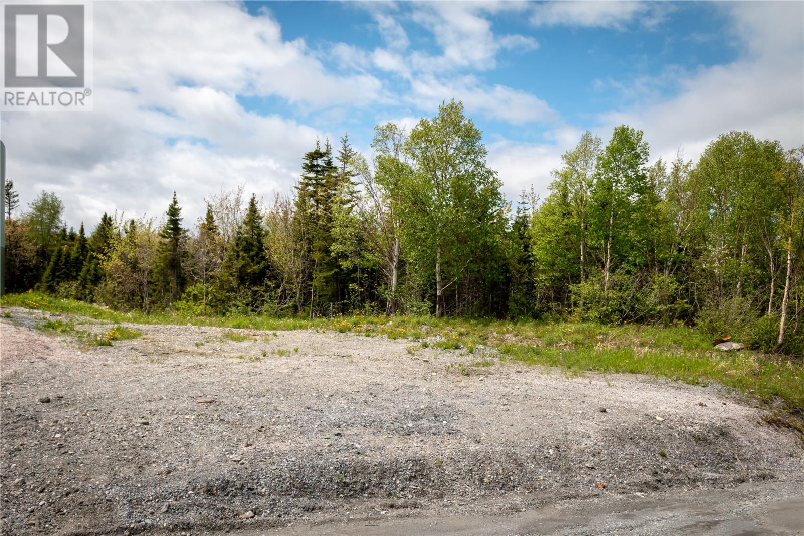 120 Elizabeth Street Unit#parcel 045, Corner Brook, Newfoundland & Labrador  A2H 6A1 - Photo 5 - 1165834