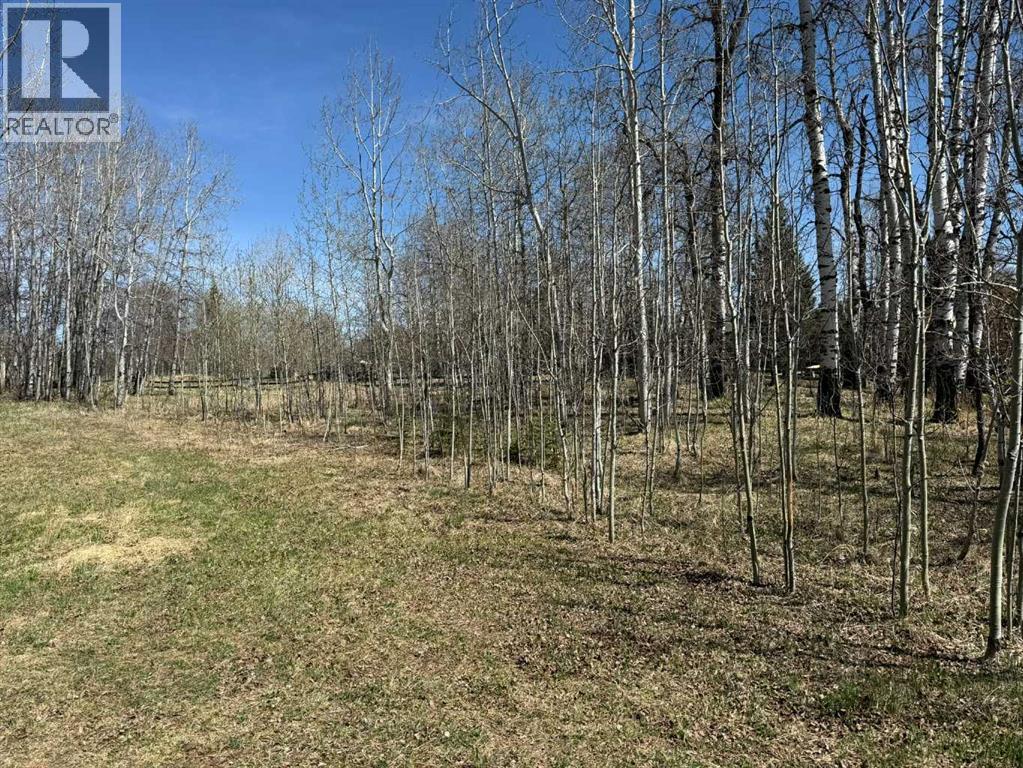3, 5228 Highway 579, Rural Mountain View County, Alberta