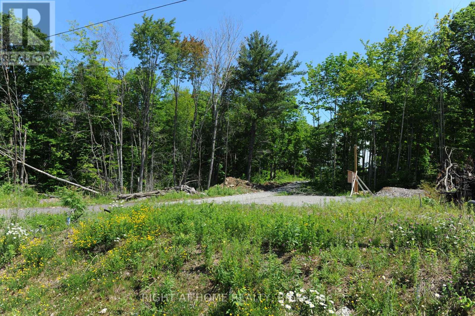 22 Hawkins Point, Georgian Bay, Ontario  P0C 1H0 - Photo 15 - X13123144