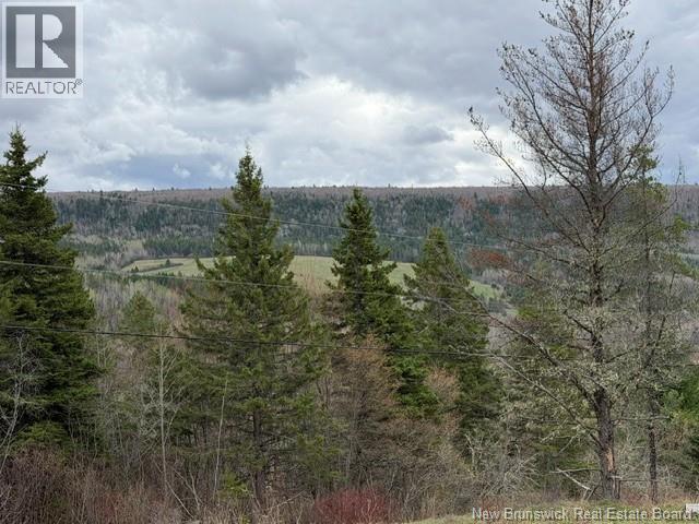 Lot Turkey Trail, Elgin, New Brunswick  E4Z 2K1 - Photo 10 - NB138109