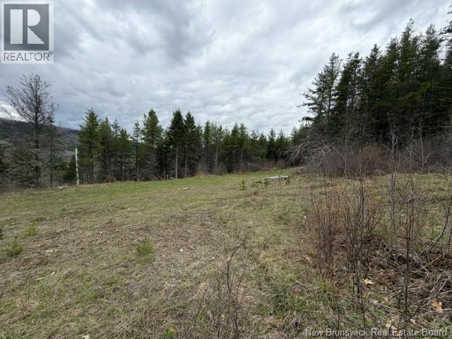 Lot Turkey Trail, Elgin, New Brunswick  E4Z 2K1 - Photo 11 - NB138109