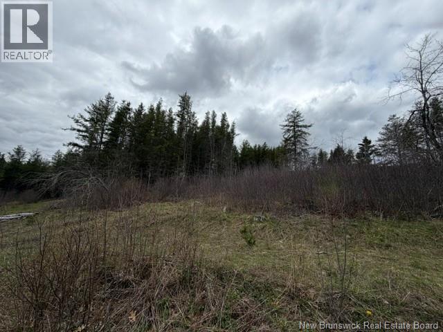 Lot Turkey Trail, Elgin, New Brunswick  E4Z 2K1 - Photo 12 - NB138109