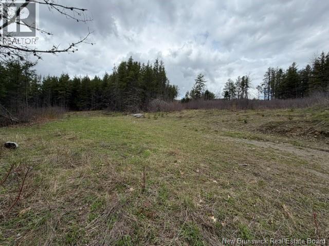 Lot Turkey Trail, Elgin, New Brunswick  E4Z 2K1 - Photo 13 - NB138109