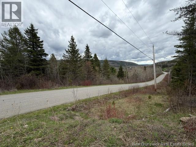 Lot Turkey Trail, Elgin, New Brunswick  E4Z 2K1 - Photo 14 - NB138109