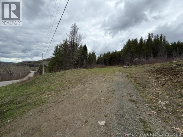 Lot Turkey Trail, Elgin, New Brunswick  E4Z 2K1 - Photo 15 - NB138109