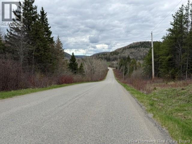 Lot Turkey Trail, Elgin, New Brunswick  E4Z 2K1 - Photo 2 - NB138109