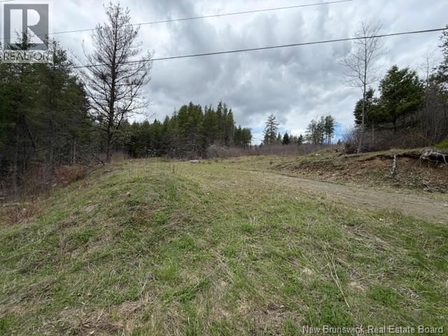 Lot Turkey Trail, Elgin, New Brunswick  E4Z 2K1 - Photo 3 - NB138109