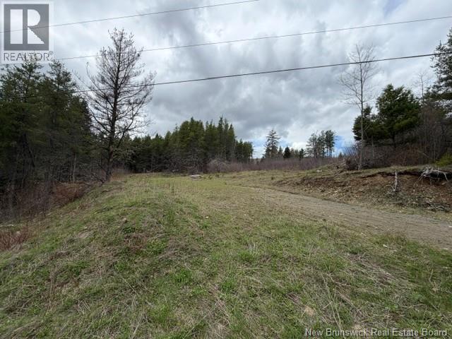 Lot Turkey Trail, Elgin, New Brunswick  E4Z 2K1 - Photo 4 - NB138109