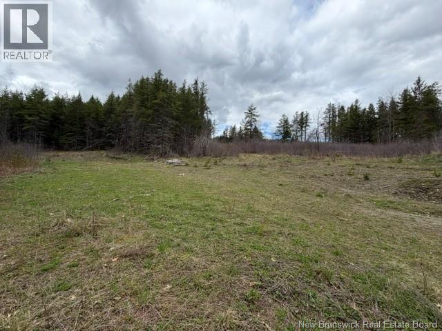 Lot Turkey Trail, Elgin, New Brunswick  E4Z 2K1 - Photo 6 - NB138109