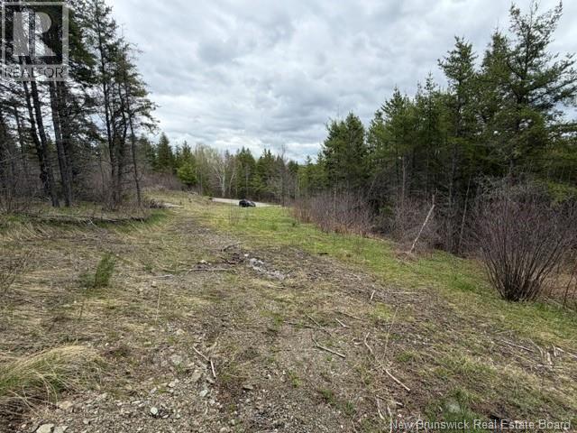 Lot Turkey Trail, Elgin, New Brunswick  E4Z 2K1 - Photo 8 - NB138109