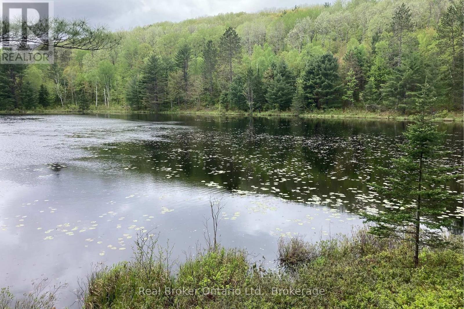 8145 Highway 17 Highway E, Calvin, Ontario P0H 2E0 - Photo 2 - X13123442