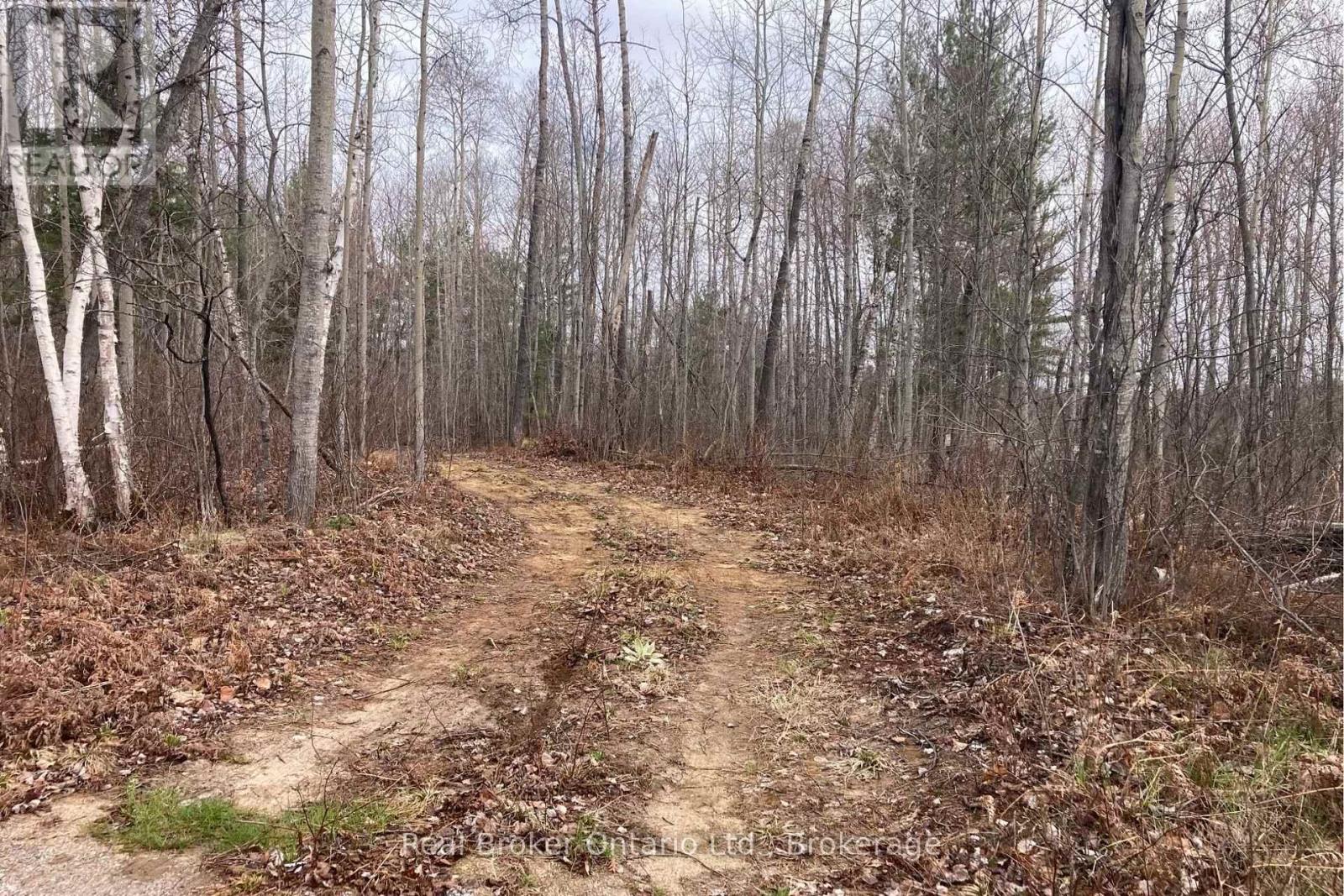 8145 Highway 17 Highway E, Calvin, Ontario P0H 2E0 - Photo 3 - X13123442