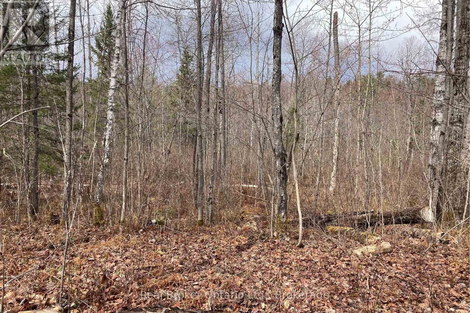 8145 Highway 17 Highway E, Calvin, Ontario P0H 2E0 - Photo 4 - X13123442