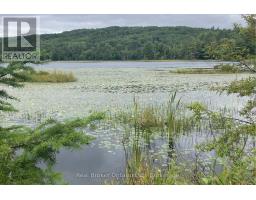 8145 HIGHWAY 17 HIGHWAY E, calvin, Ontario