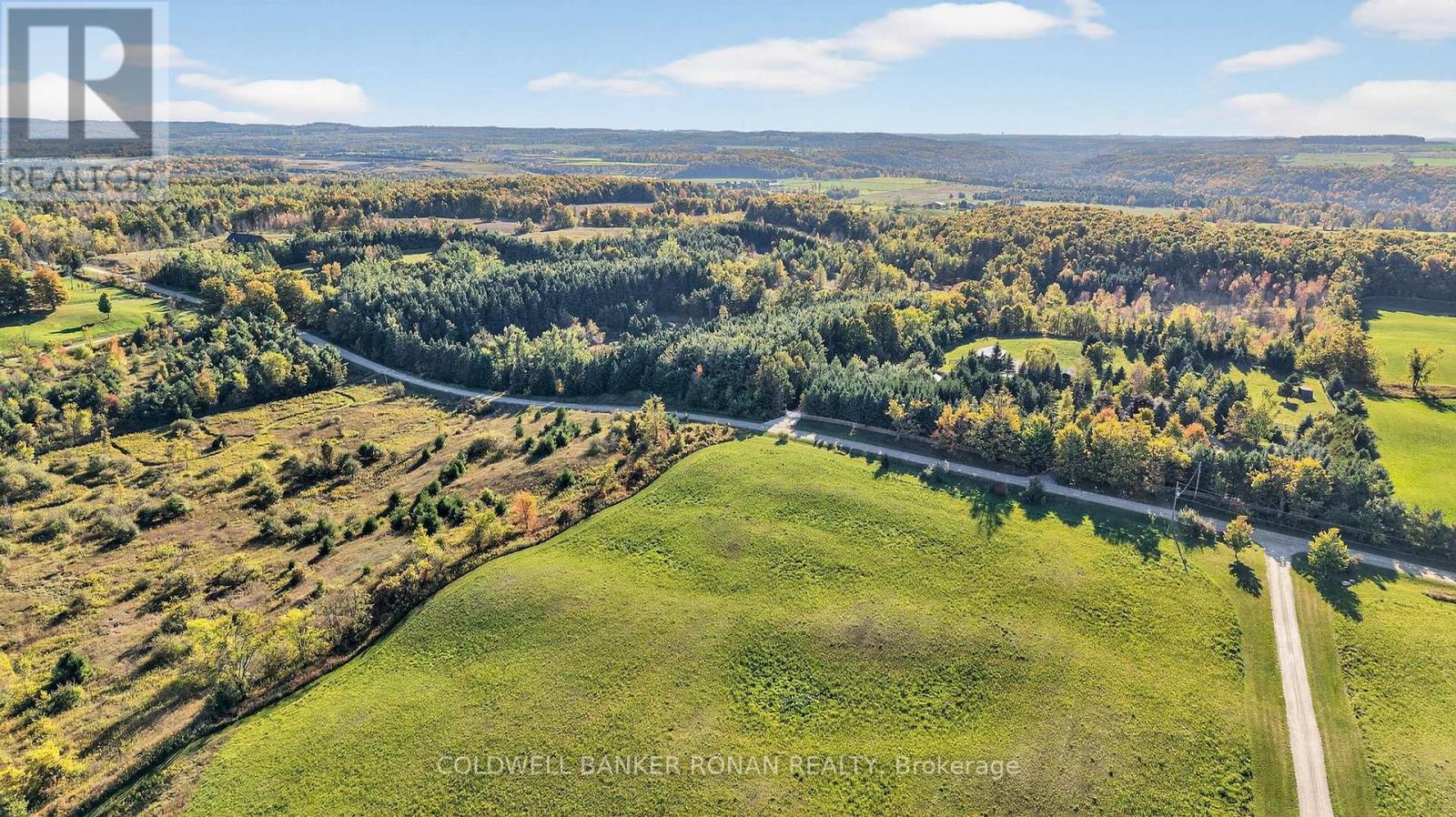 796271 3rd Line E, Mulmur, Ontario  L9V 0H2 - Photo 50 - X12811526