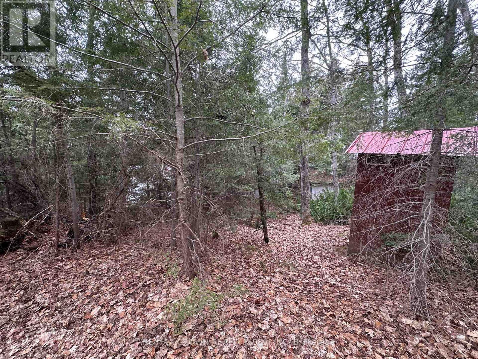 Pt Lt 14 Con 10 Machar Pt 3, Machar, Ontario  P0A 1X0 - Photo 33 - X12969838
