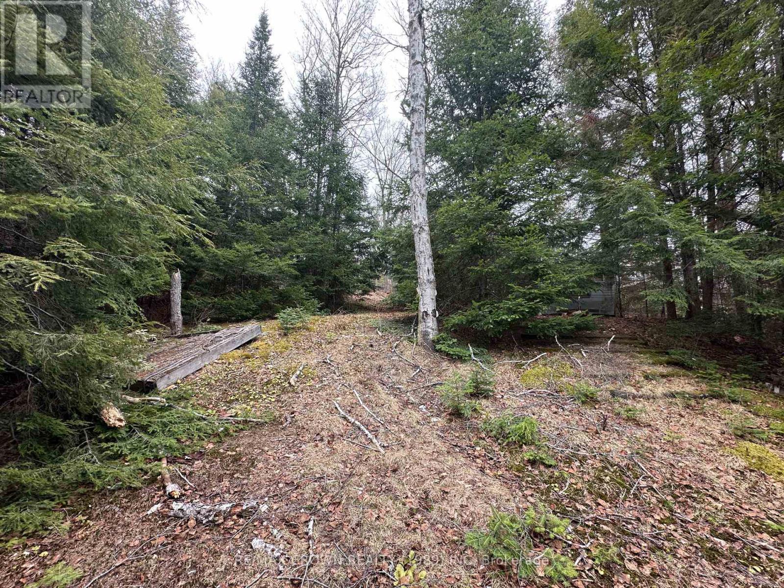 Pt Lt 14 Con 10 Machar Pt 3, Machar, Ontario  P0A 1X0 - Photo 30 - X12969838