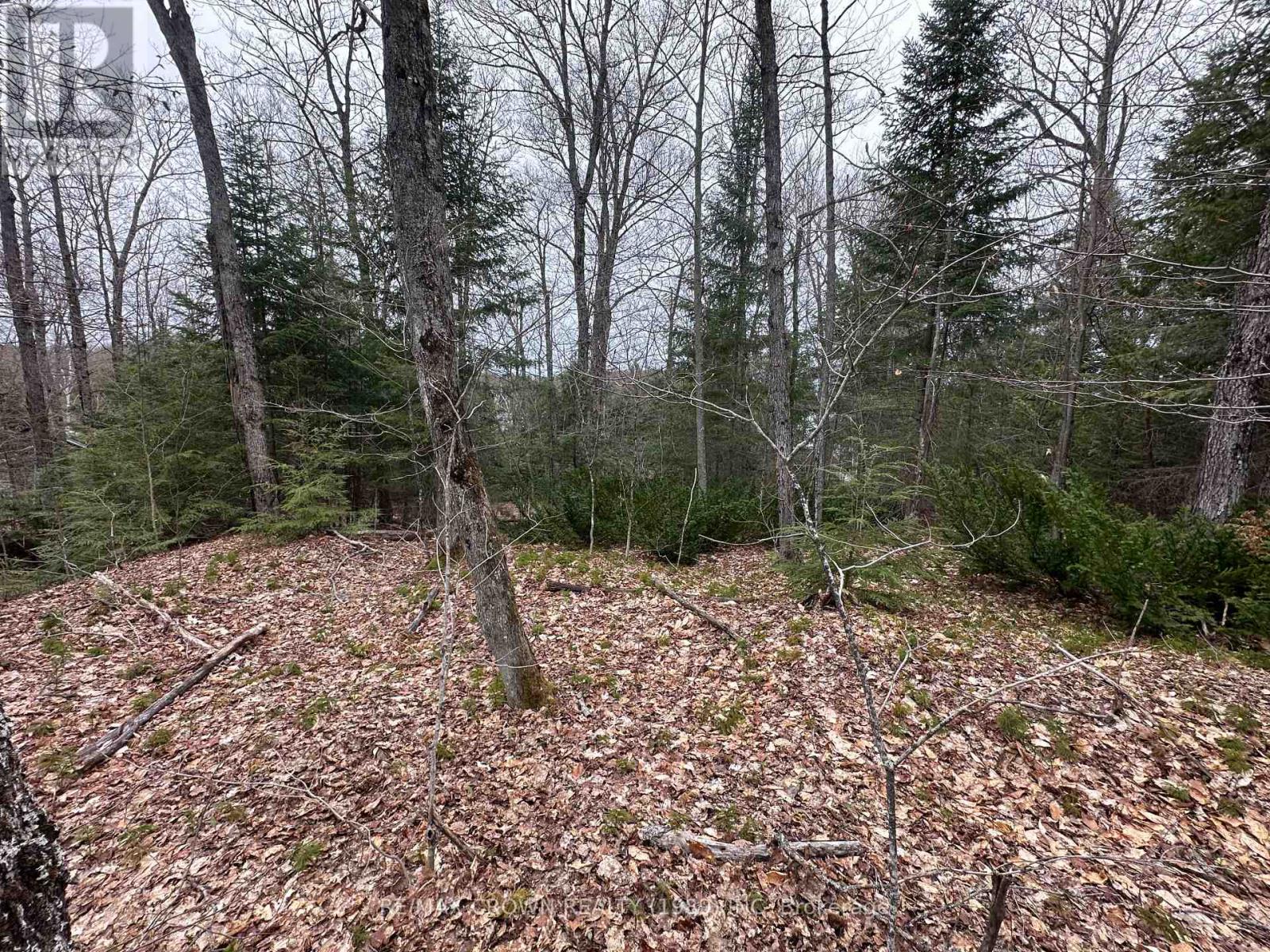 Pt Lt 14 Con 10 Machar Pt 3, Machar, Ontario  P0A 1X0 - Photo 35 - X12969838