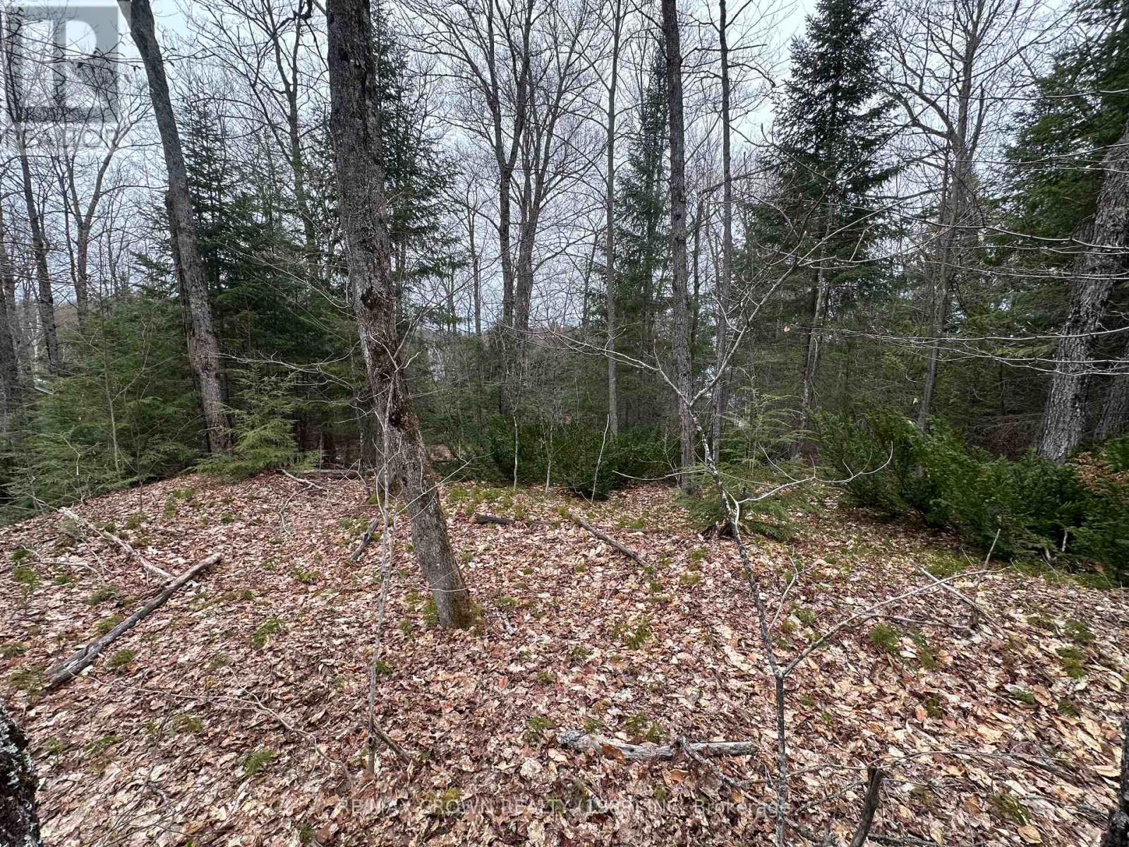 Pt Lt 14 Con 10 Machar Pt 3, Machar, Ontario  P0A 1X0 - Photo 36 - X12969838