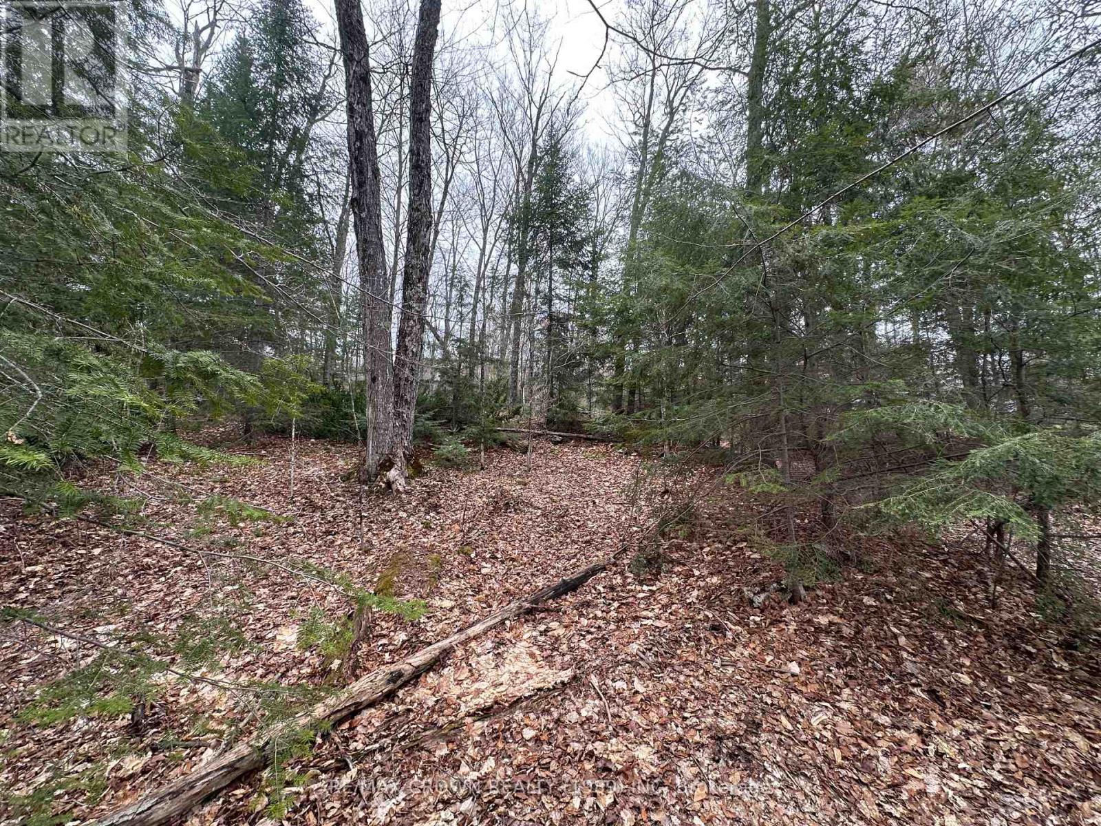 Pt Lt 14 Con 10 Machar Pt 3, Machar, Ontario  P0A 1X0 - Photo 34 - X12969838