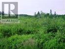 2-4 Snows Pond Road, North River, Newfoundland & Labrador  A0A 3C0 - Photo 2 - 1297479
